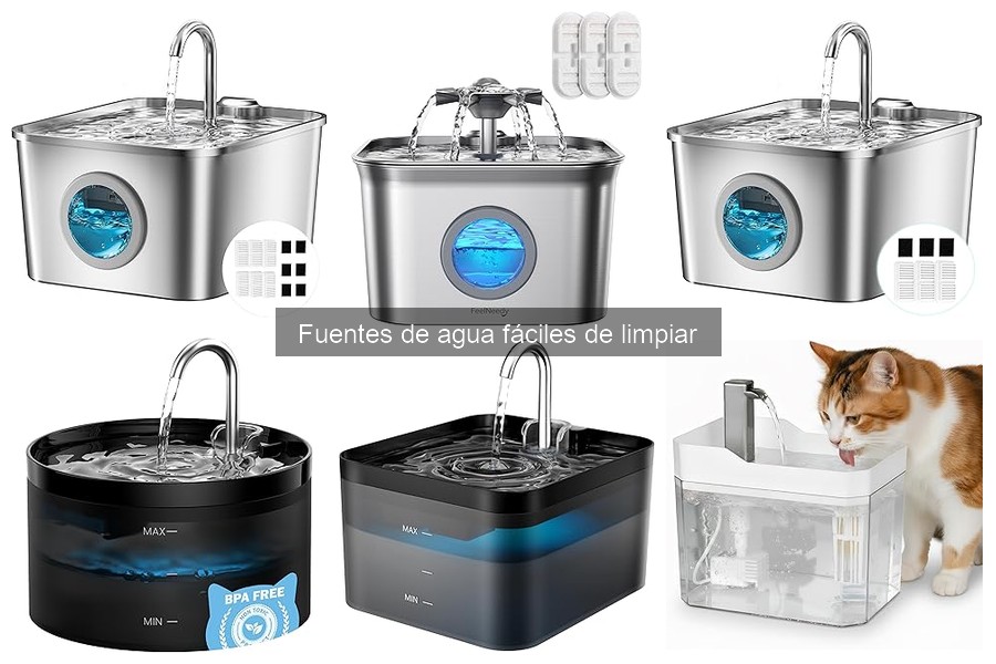 ¿Cuándo reemplazar la fuente de agua de mi mascota?