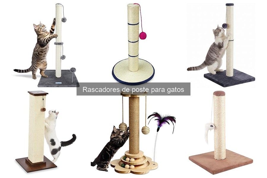 Cuándo Reemplazar un Rascador de Poste para Gatos