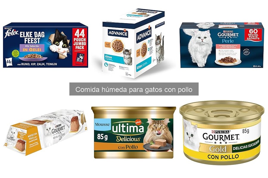 ¿Cuánta comida húmeda con pollo necesita un gato al día?