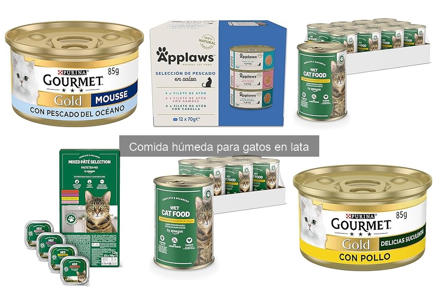 ¿Cuánto cuesta la comida húmeda para gatos en lata?