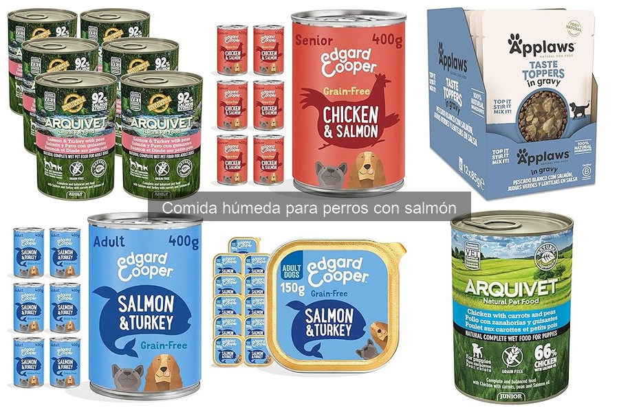 ¿Cuánto cuesta la comida húmeda para perros con salmón?