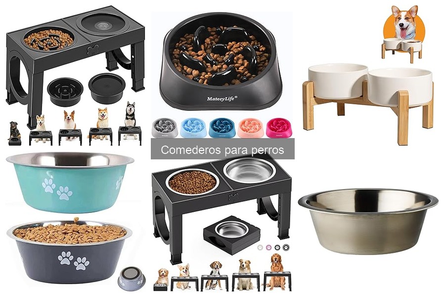¿Cuánto cuesta un comedero para perros? Guía de precios
