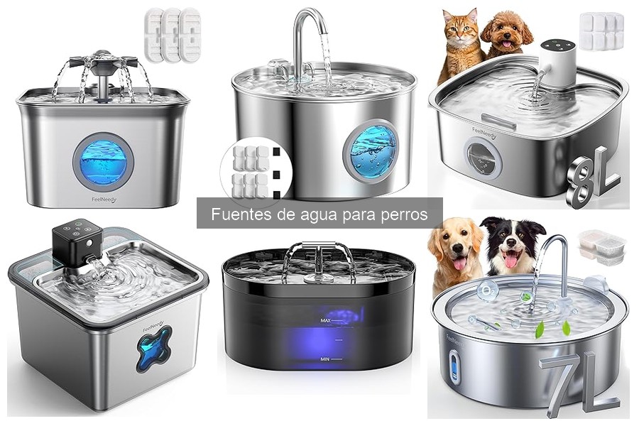 ¿Cuánto cuesta una fuente de agua para perros?