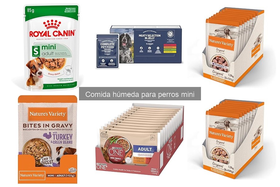 ¿Cuánto debe comer un perro mini de comida húmeda?