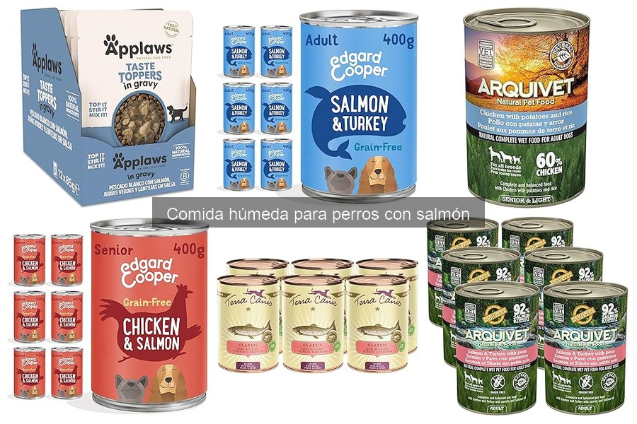 ¿Cuánto salmón debe tener la comida húmeda para perros?