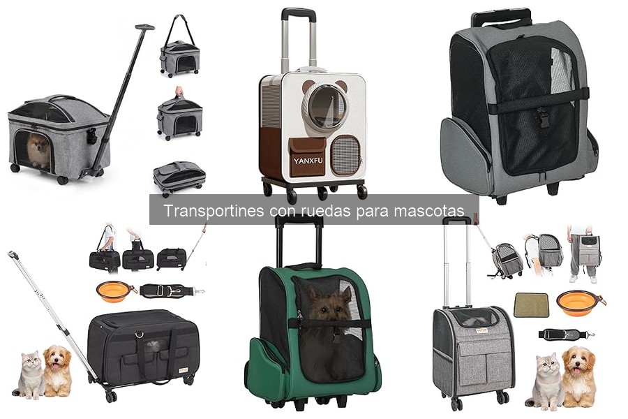 Cuidado y mantenimiento de transportines con ruedas para mascotas