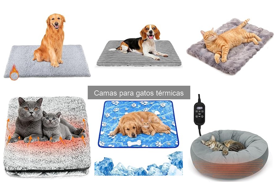 Cuidados de Gatos Ancianos con Camas Térmicas