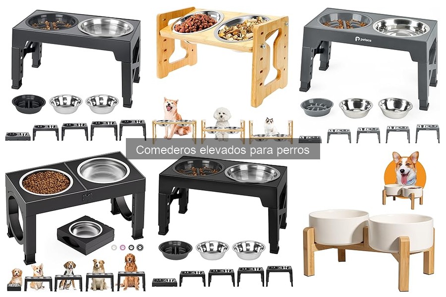 Cuidados y limpieza de comederos elevados para perros
