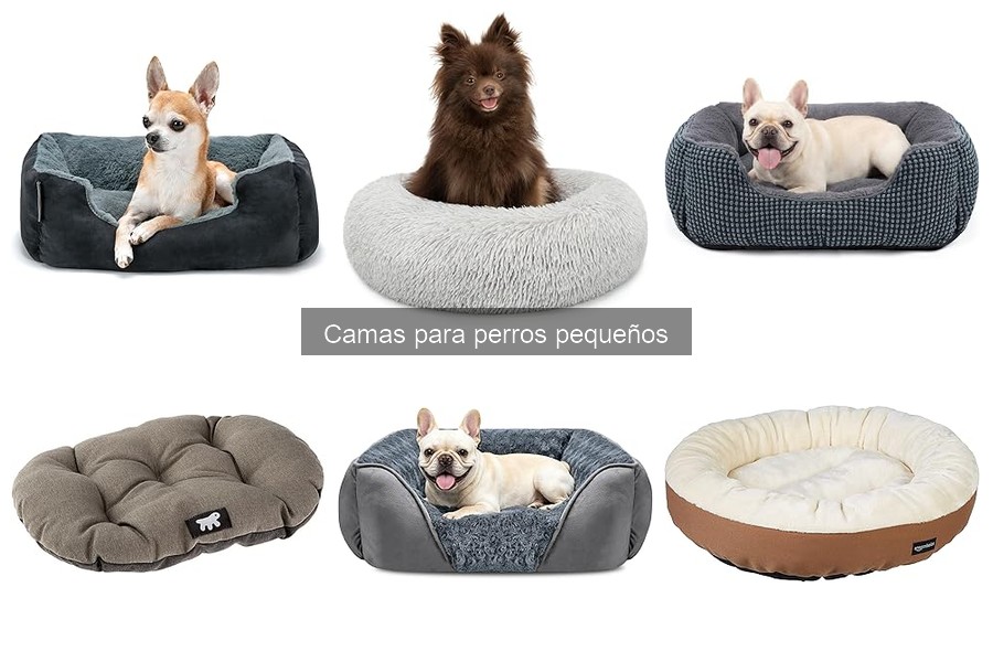 Cuidados y Mantenimiento de Camas para Perros Pequeños