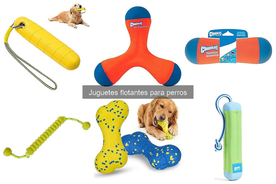 Cuidados y Mantenimiento de Juguetes Flotantes para Perros