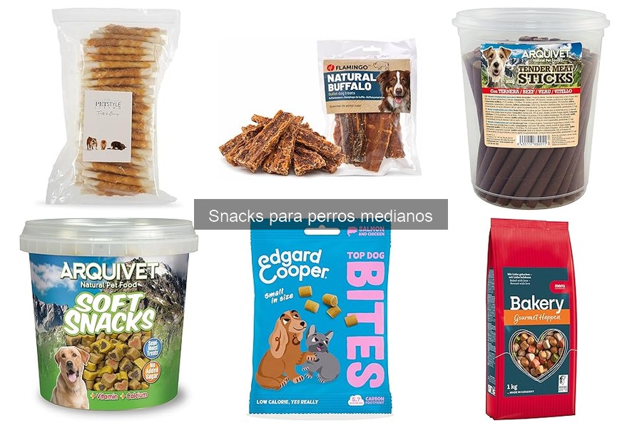Descubre qué son los snacks para perros medianos