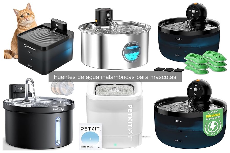Desmintiendo mitos sobre fuentes de agua inalámbricas para mascotas