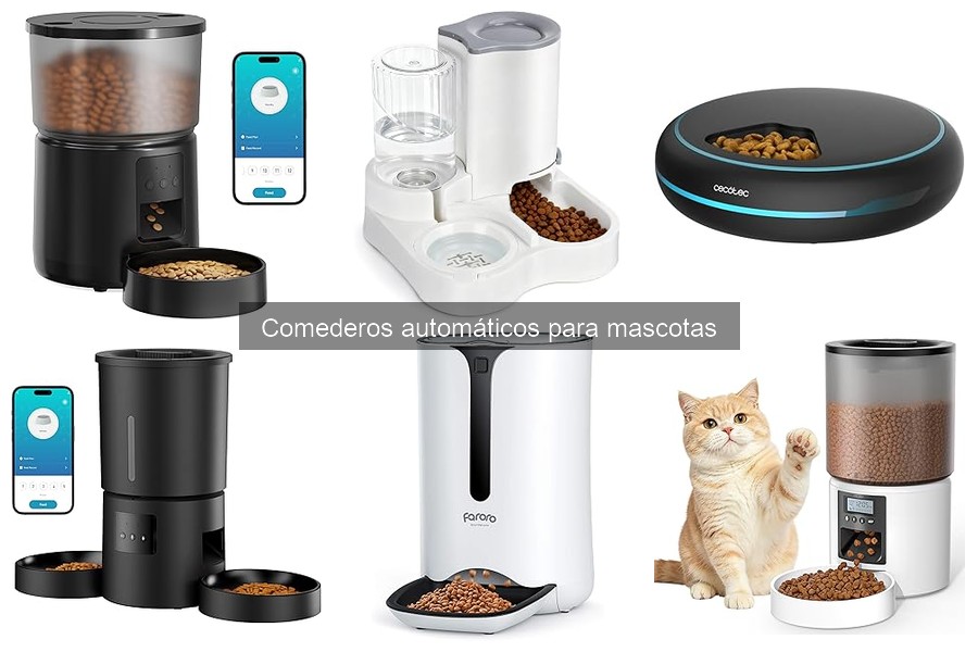 Desventajas de los Comederos Automáticos para Mascotas