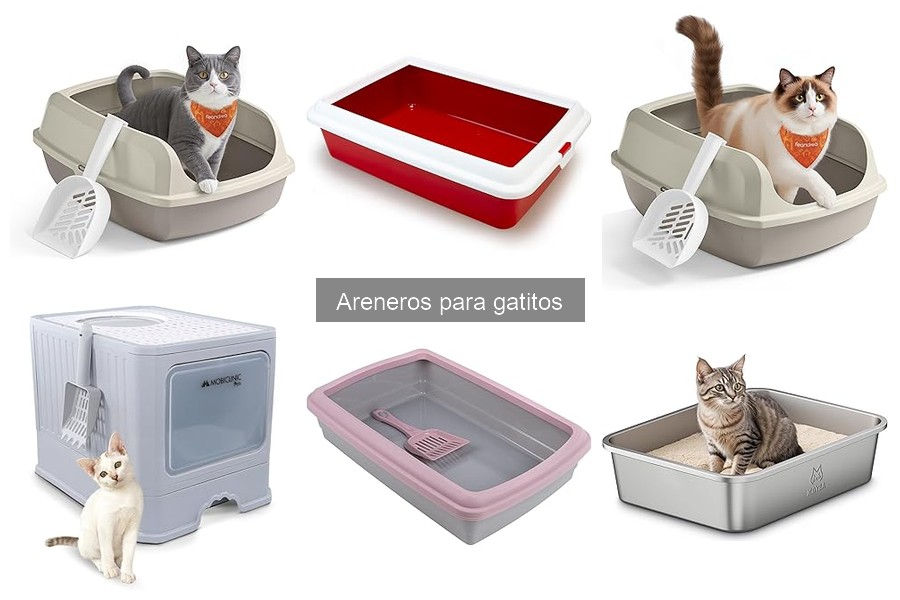 Diferencias entre arenas para areneros de gatos: guía completa