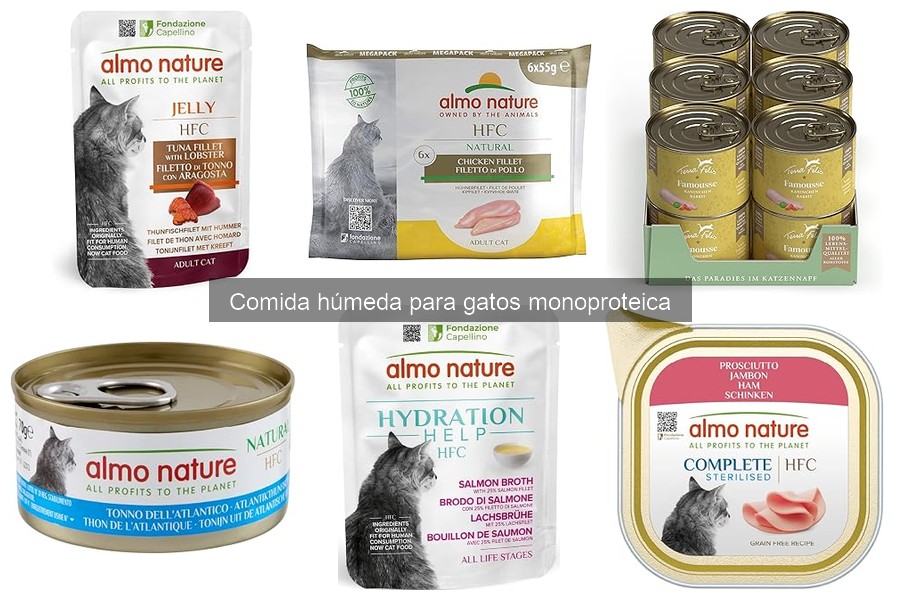 Diferencias entre comida húmeda y semi-húmeda para gatos