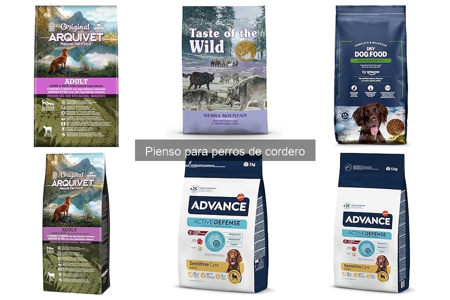 Diferencias entre pienso seco y húmedo de cordero para perros