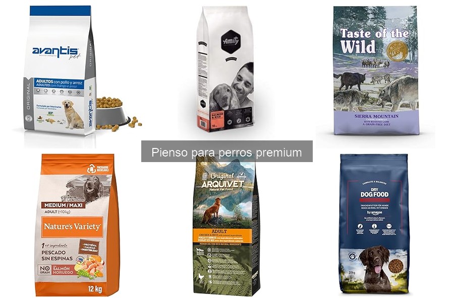 Diferencias entre pienso seco y húmedo premium para perros