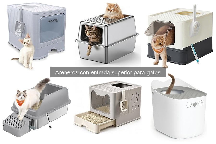 Dónde Comprar Areneros con Entrada Superior para Gatos