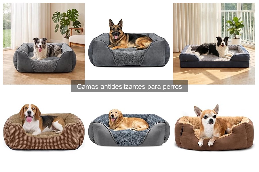 Dónde comprar camas antideslizantes para perros