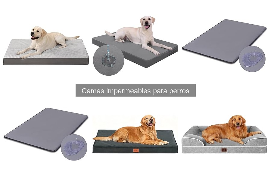Dónde comprar camas impermeables para perros: Guía 2023