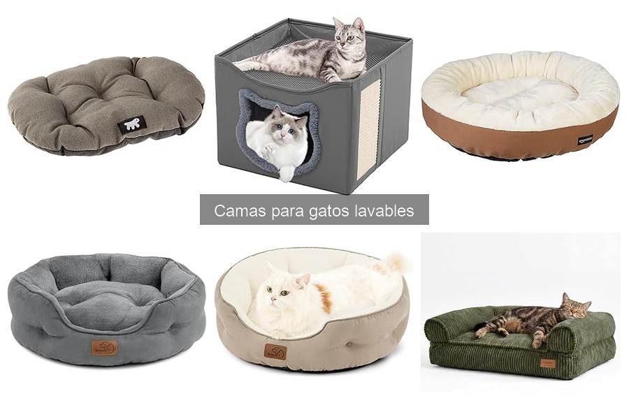 ¿Dónde comprar camas lavables para gatos? Mejores opciones