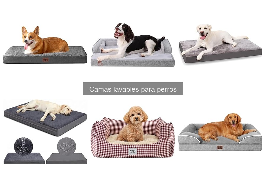 Dónde comprar camas lavables para perros: Guía completa