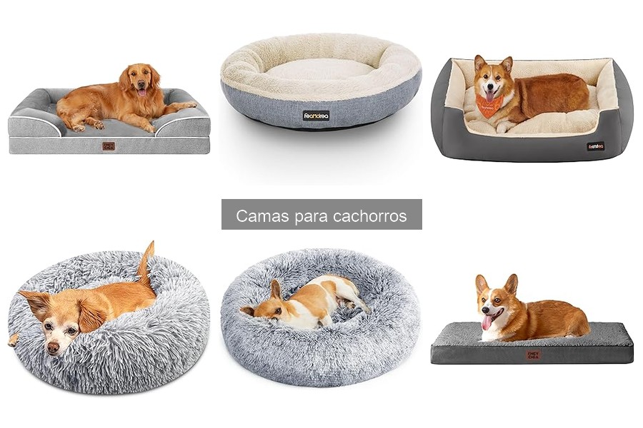 Dónde Comprar Camas para Cachorros: Mejor Calidad y Precio