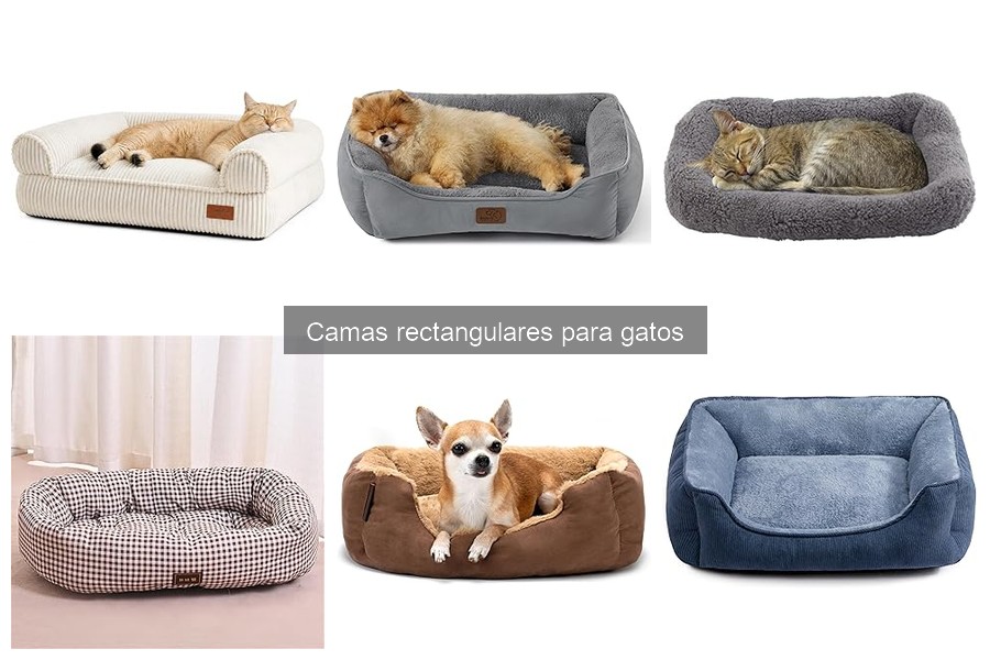 Dónde comprar camas rectangulares para gatos a buen precio
