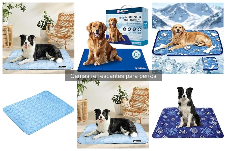 Dónde comprar camas refrescantes para perros a buen precio