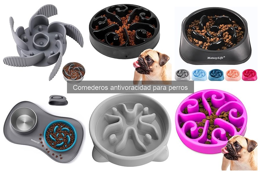 Dónde comprar comederos antivoracidad para perros