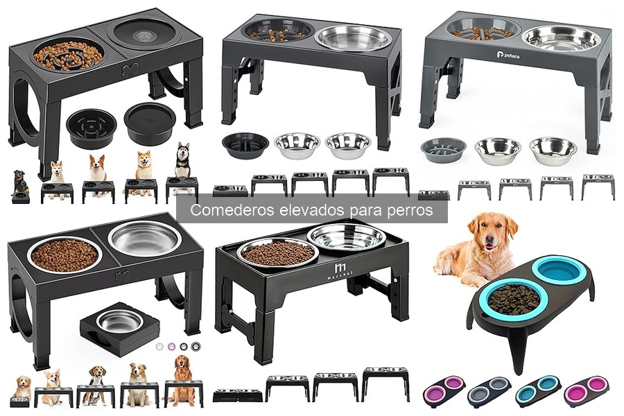 Dónde comprar comederos elevados para perros al mejor precio