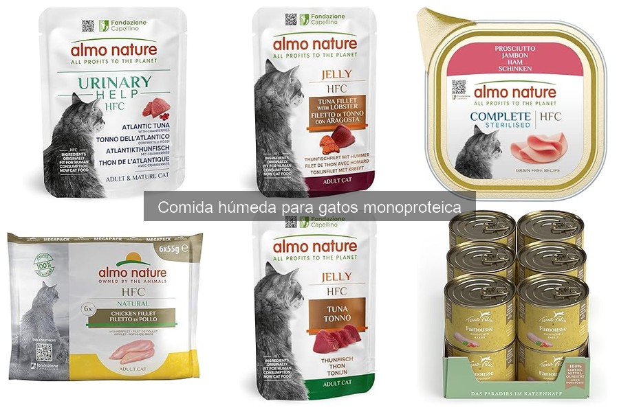 Dónde comprar comida húmeda monoproteica para gatos