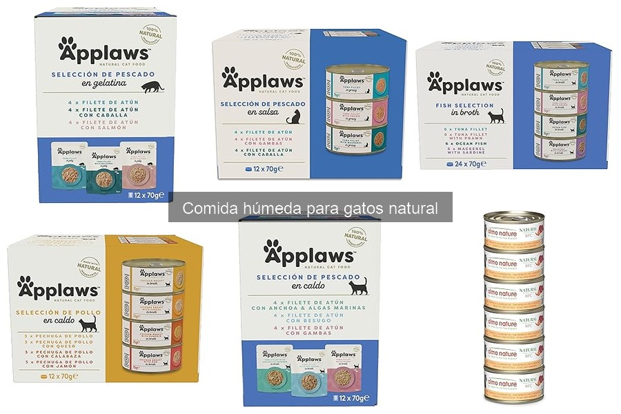 Dónde comprar comida húmeda natural para gatos a buen precio