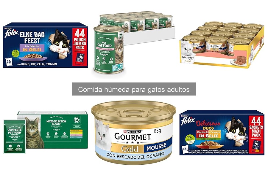 Dónde comprar comida húmeda para gatos adultos: opciones y mejores lugares