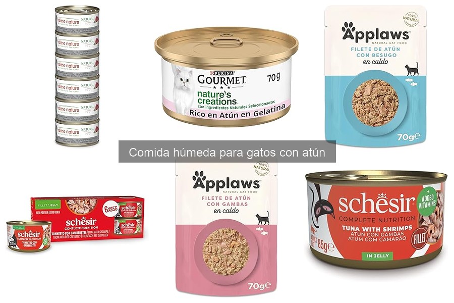 Dónde comprar comida húmeda para gatos con atún a buen precio