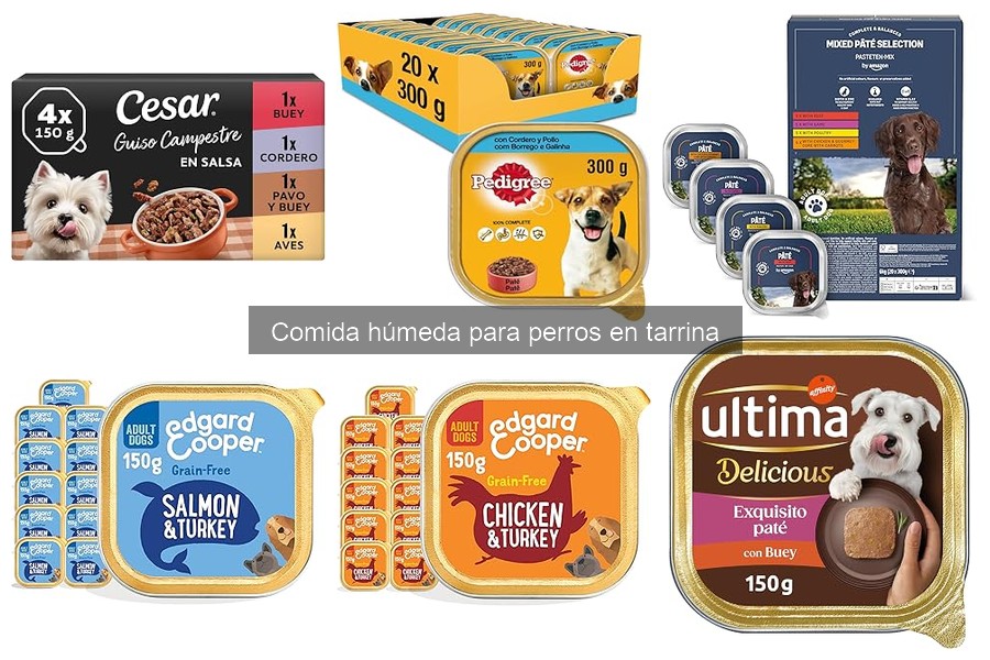 Dónde Comprar Comida Húmeda para Perros a Buen Precio