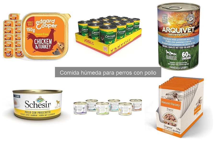 Dónde comprar comida húmeda para perros con pollo a buen precio