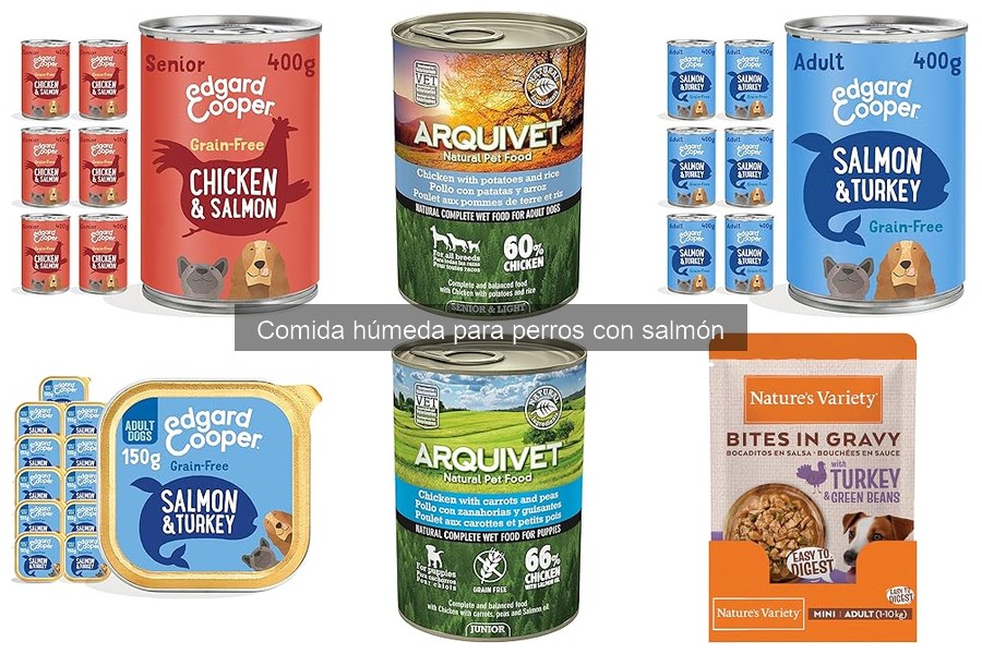 Dónde comprar comida húmeda para perros con salmón