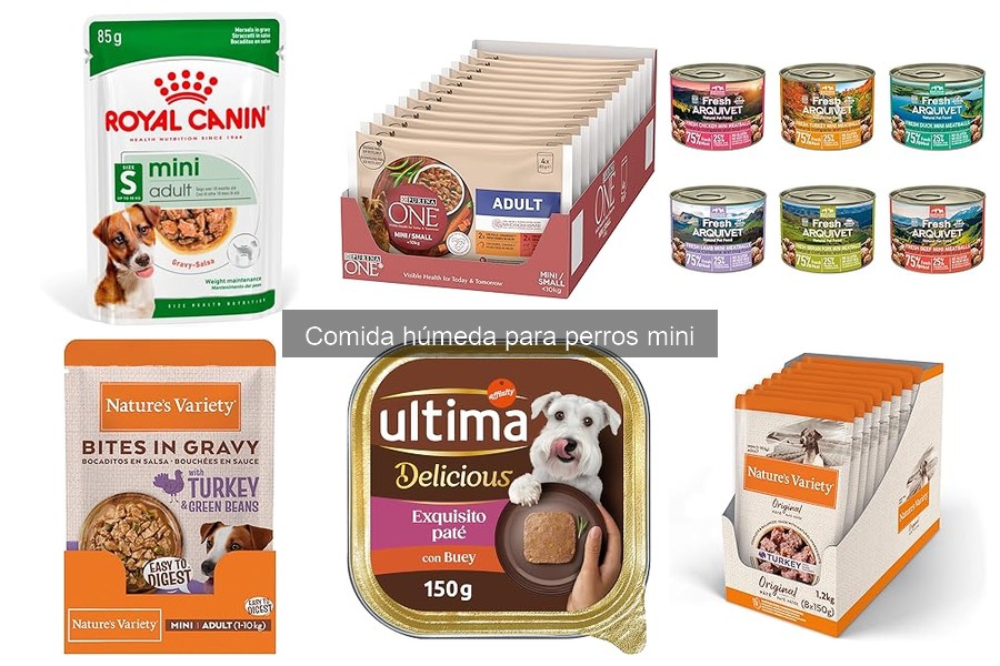 Dónde comprar comida húmeda para perros mini fácilmente