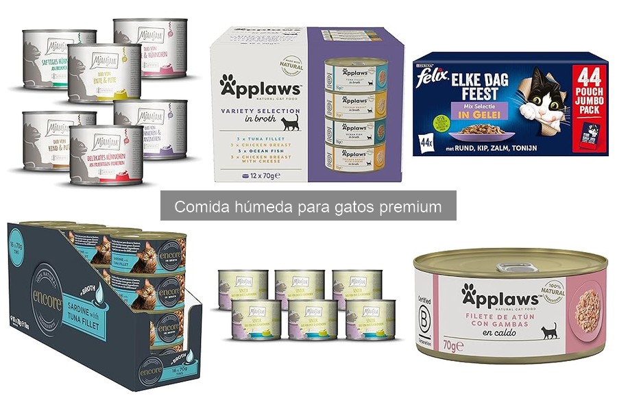 Dónde comprar comida húmeda premium para gatos online