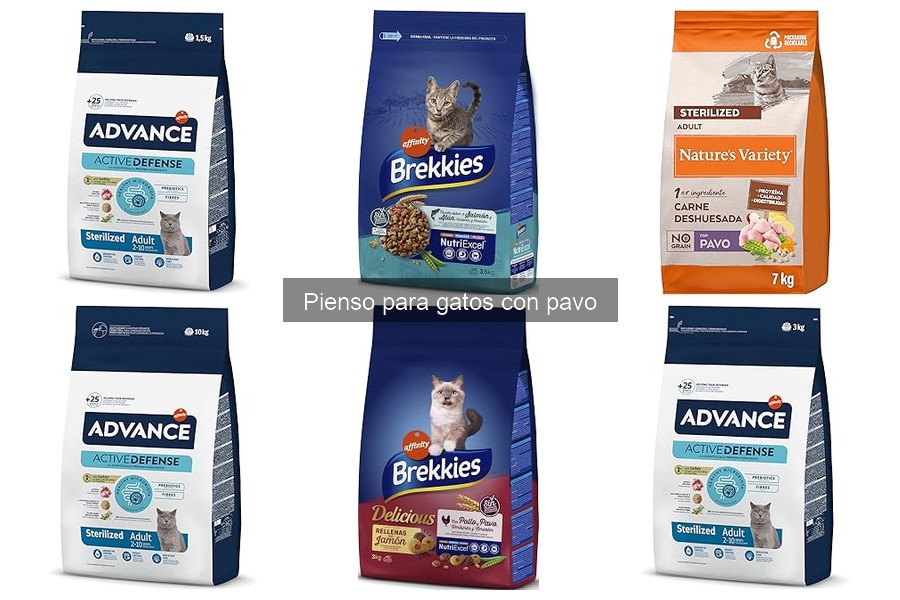 Dónde comprar el mejor pienso para gatos con pavo