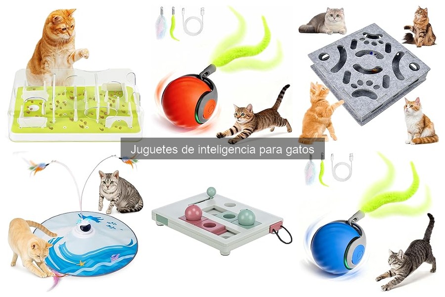 Dónde comprar juguetes de inteligencia para gatos a buen precio