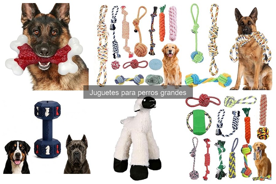 Dónde comprar juguetes para perros grandes a buen precio