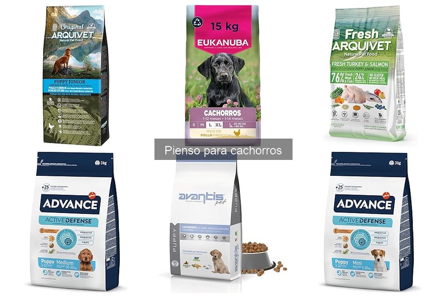 Dónde comprar pienso para cachorros al mejor precio