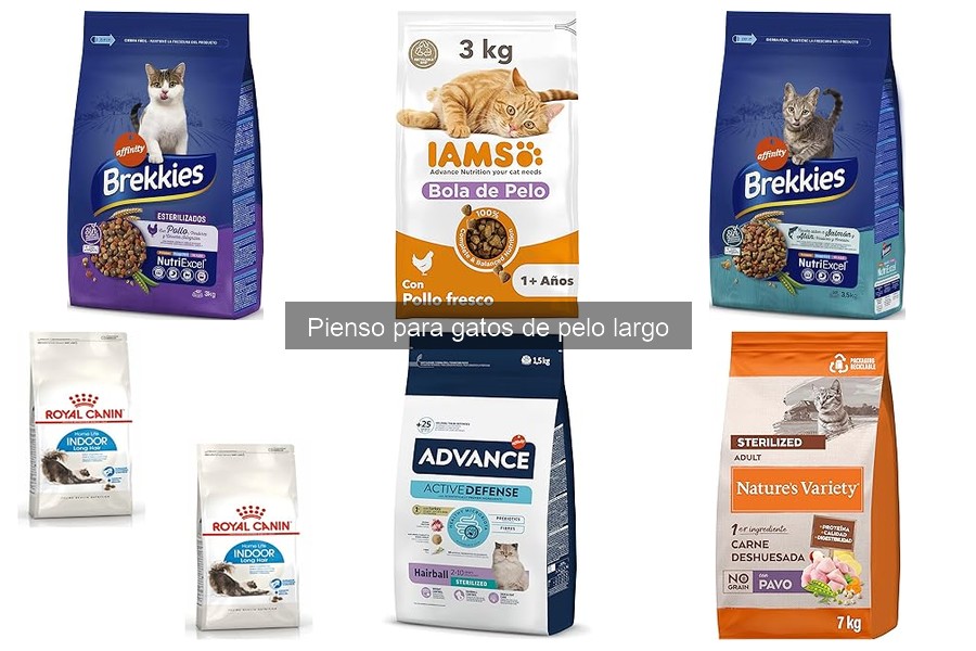 Dónde comprar pienso para gatos de pelo largo: mejores opciones