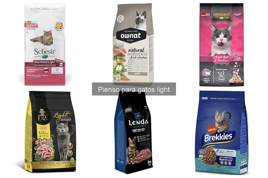 Dónde comprar pienso para gatos light: mejores opciones