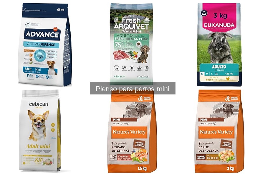 Dónde comprar pienso para perros mini: mejores tiendas online
