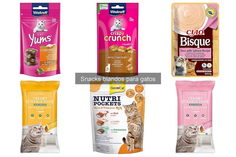 Dónde comprar snacks blandos para gatos: Mejores opciones y descuentos