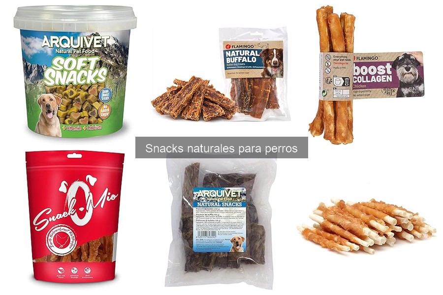 Dónde comprar snacks naturales para perros en línea