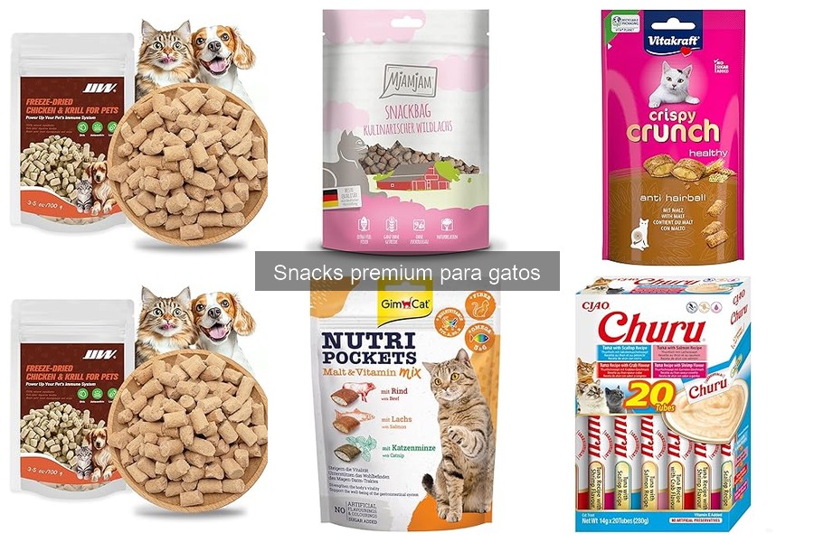 Dónde comprar snacks premium para gatos: comparativa y ofertas